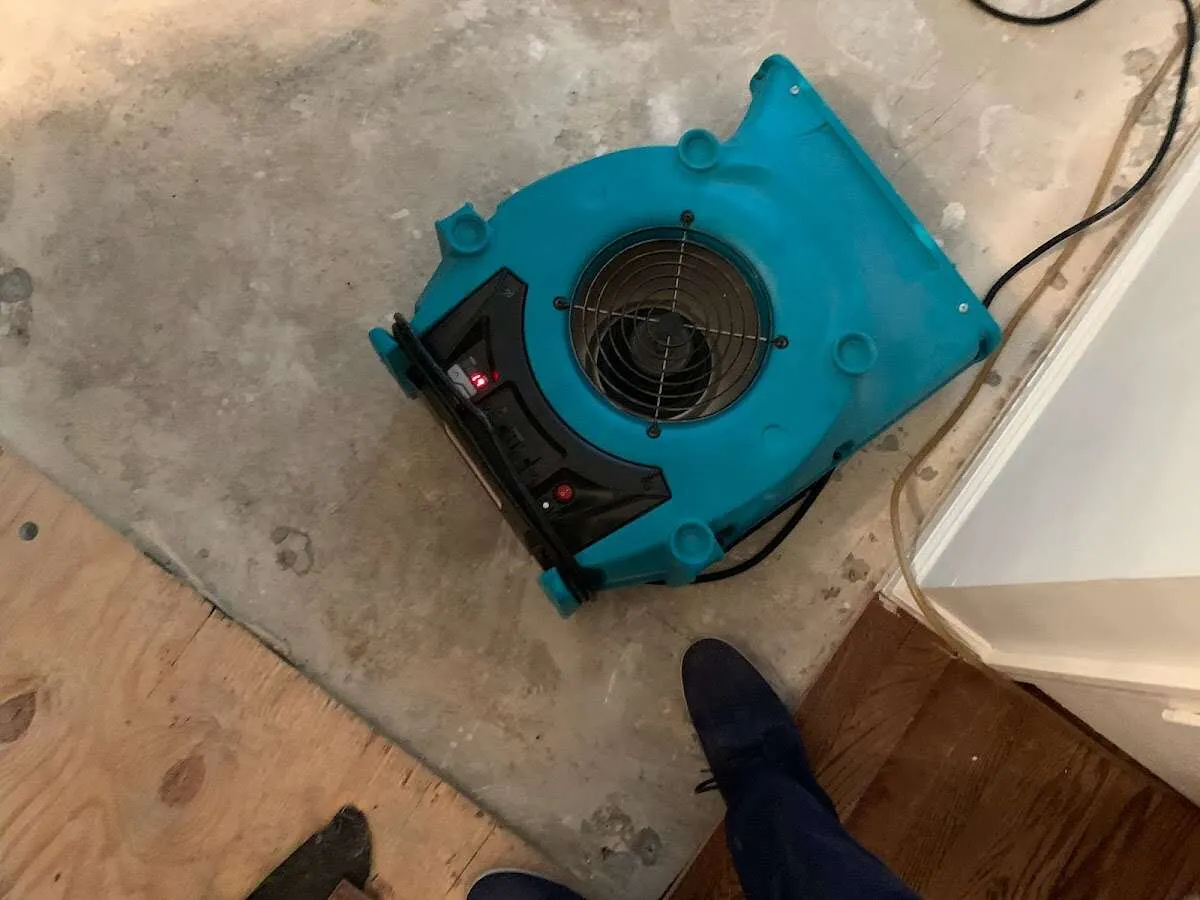 Air mover drying subfloor during Leak Detection & Repair in Black Jack